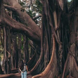 standing woman watching tree during daytime