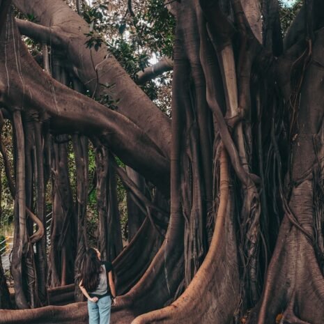 Photo by Cristina Gottardi standing woman watching tree during daytime